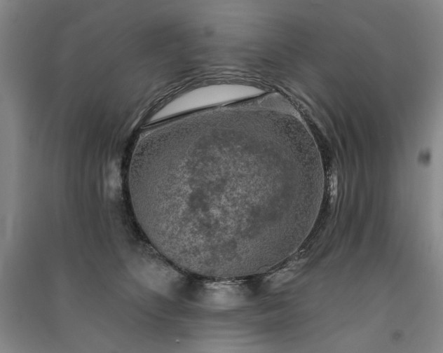 X0000091350516200708171434
