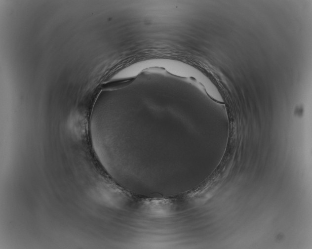 X0000091350517200708171434