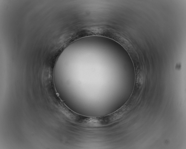 X0000091350518200708171434