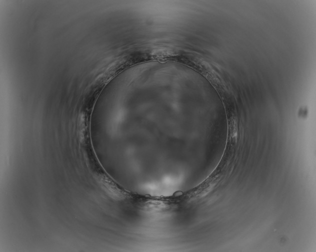 X0000091350519200708171434