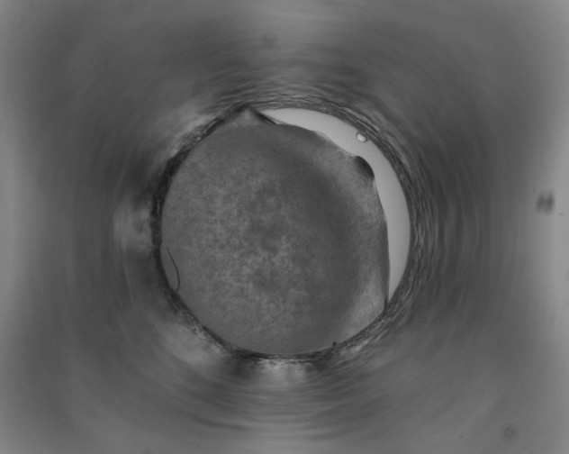 X0000091350520200708171434