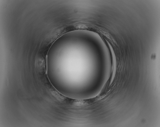 X0000091350521200708171434