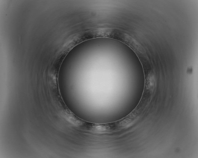 X0000091350522200708171434
