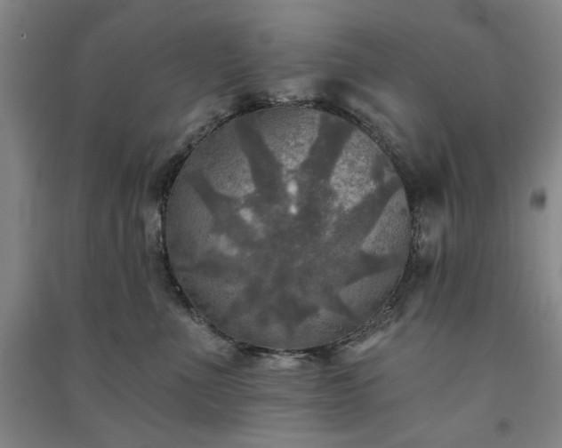 X0000091350523200708171434