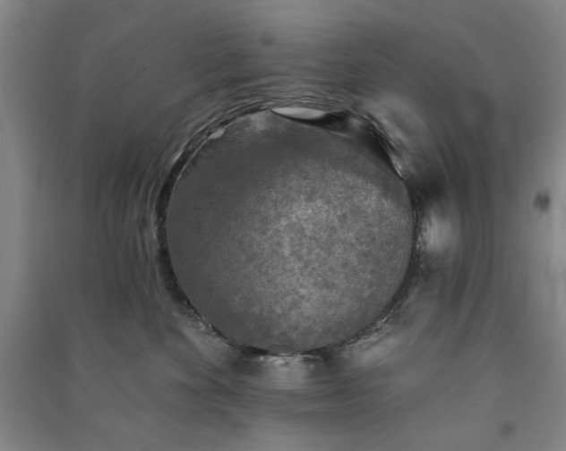 X0000091350524200708171434