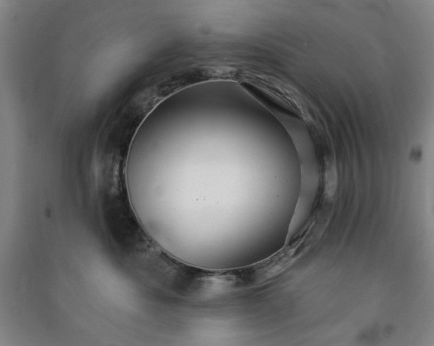 X0000091350525200708171434