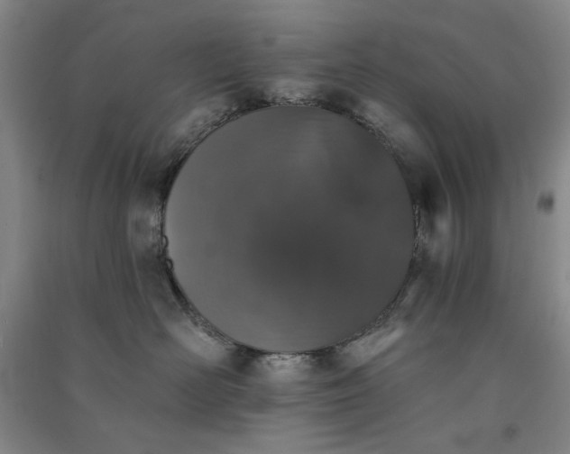 X0000091350526200708171434