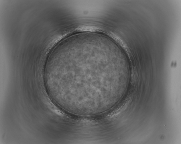 X0000091350529200708171433