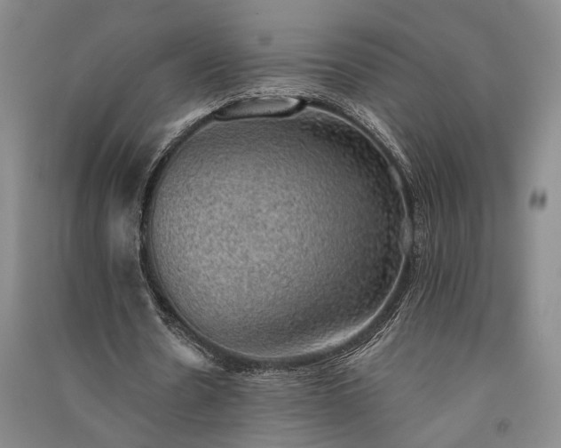 X0000091350530200708171433