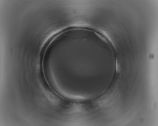 X0000091350531200708171433
