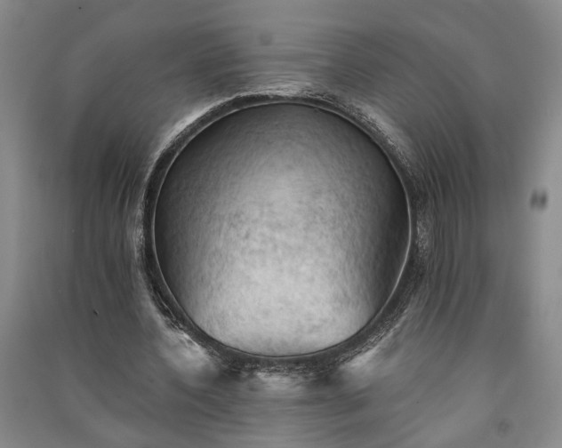 X0000091350532200708171433