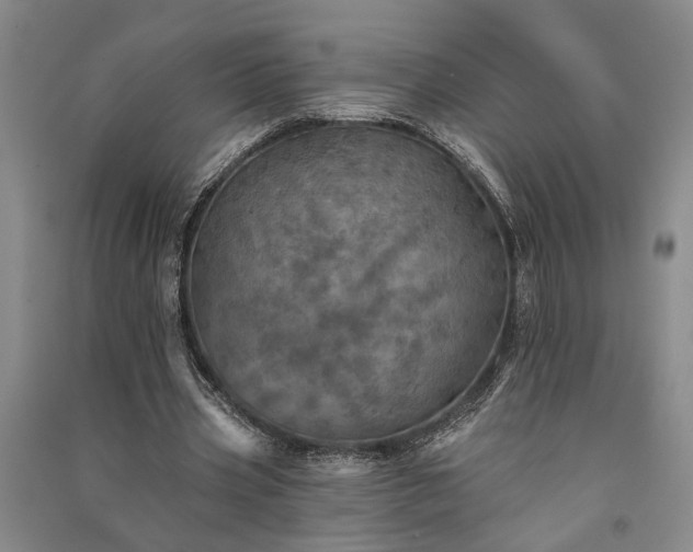 X0000091350533200708171433