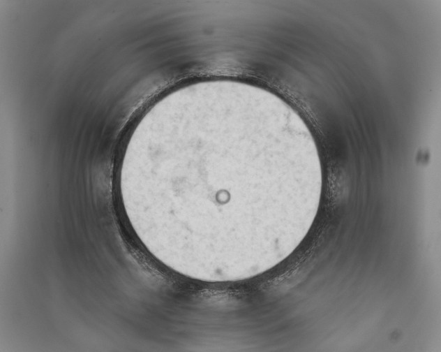 X0000091350534200708171433