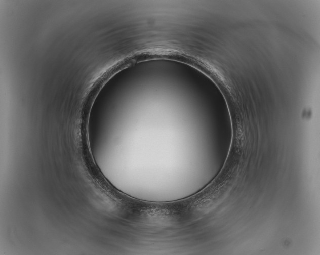 X0000091350535200708171433
