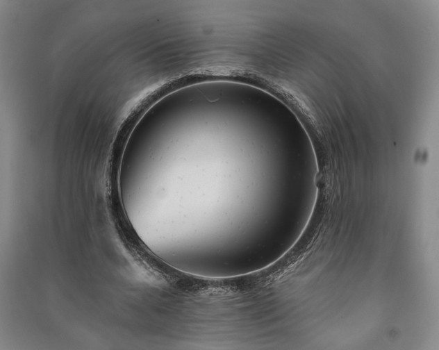 X0000091350536200708171433