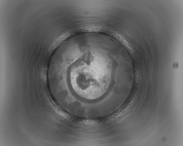 X0000091350537200708171434
