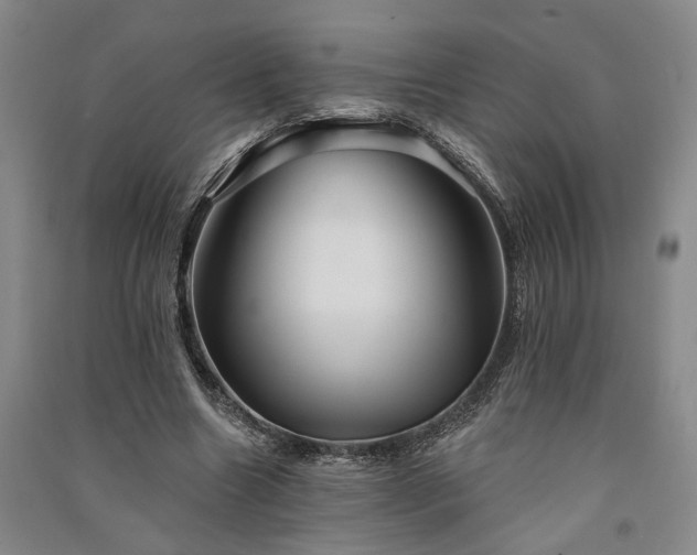 X0000091350538200708171434