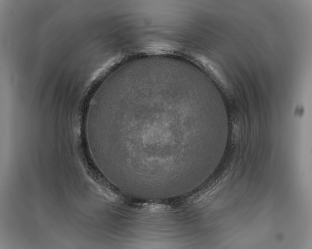 X0000091350539200708171434