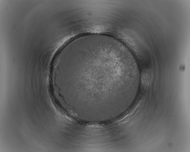 X0000091350540200708171434