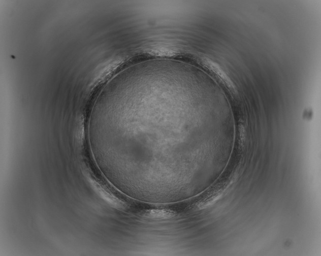 X0000091350541200708171434