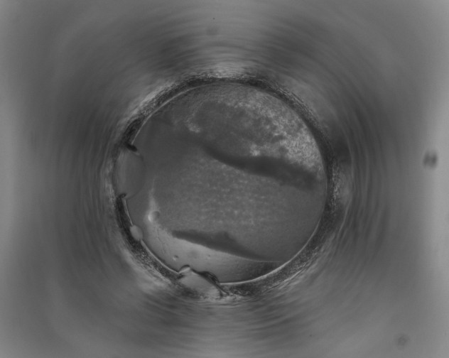X0000091350542200708171434