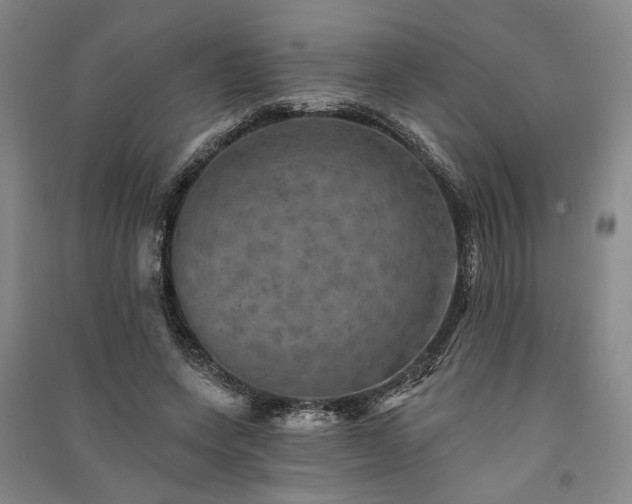 X0000091350543200708171434