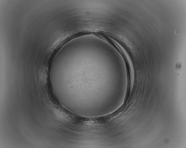 X0000091350544200708171434
