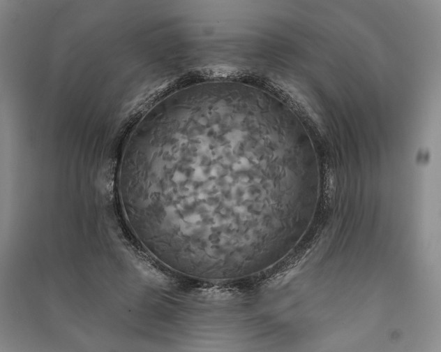 X0000091350545200708171434