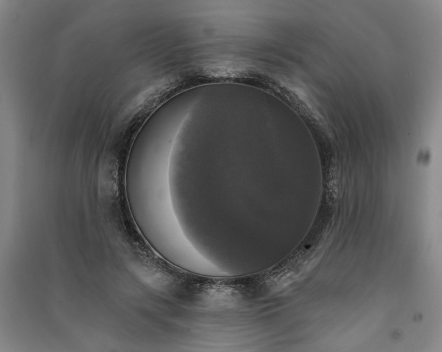 X0000091350547200708171434