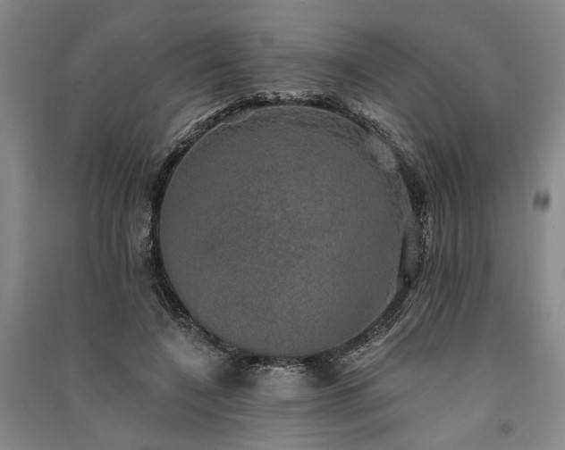 X0000091350548200708171434