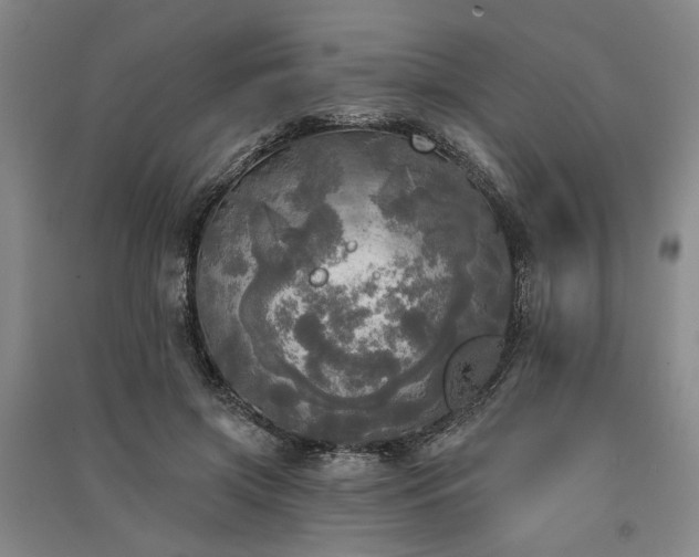 X0000091350549200708171434