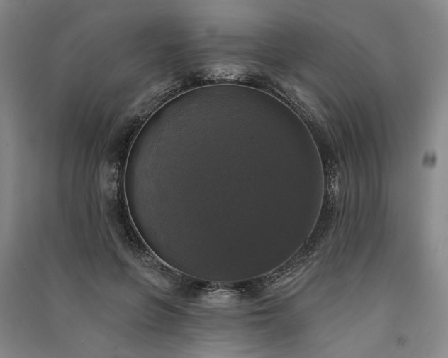 X0000091350551200708171434
