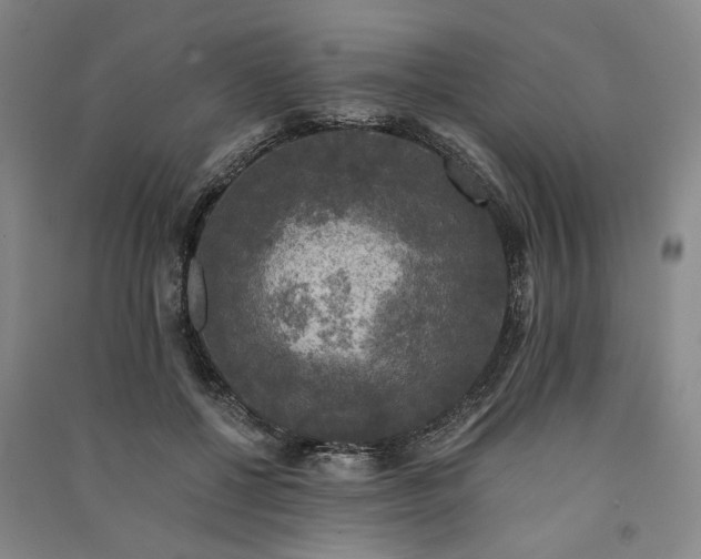 X0000091350552200708171434