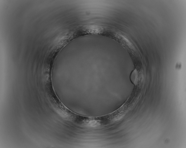 X0000091350553200708171434