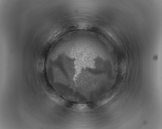 X0000091350554200708171434