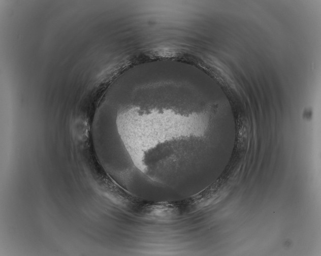 X0000091350555200708171434