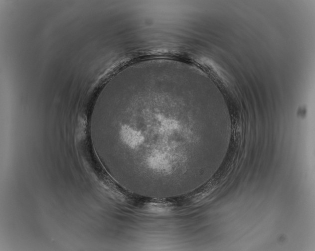 X0000091350556200708171434