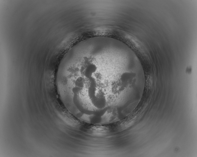 X0000091350557200708171434