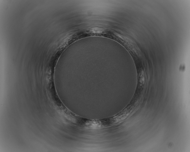 X0000091350559200708171434