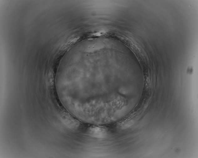 X0000091350561200708171434