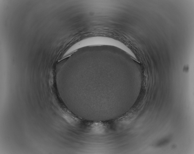 X0000091350562200708171434
