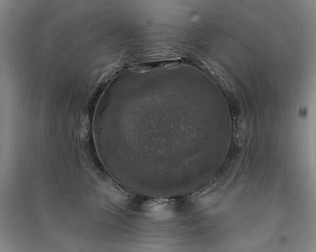 X0000091350563200708171434
