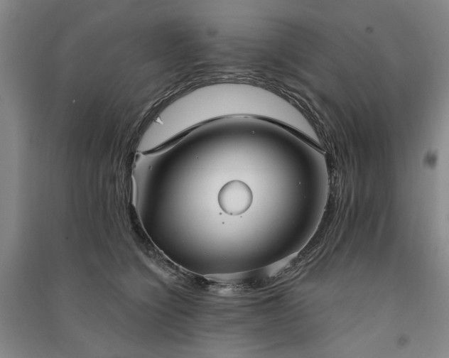 X0000091350564200708171434