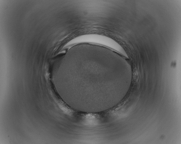 X0000091350566200708171434