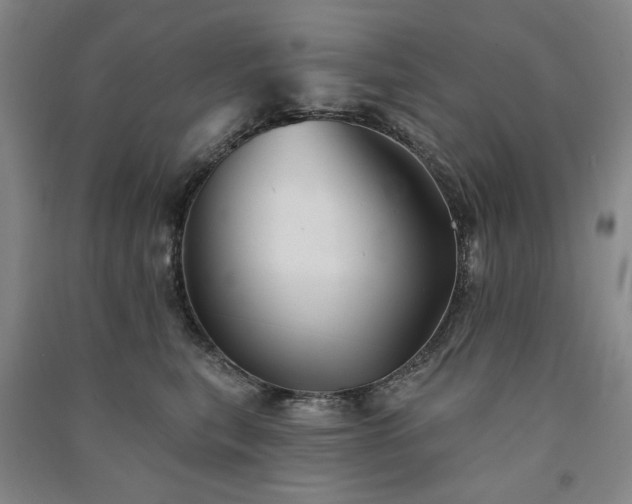 X0000091350567200708171434