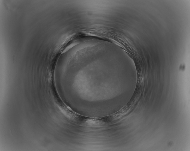 X0000091350568200708171434