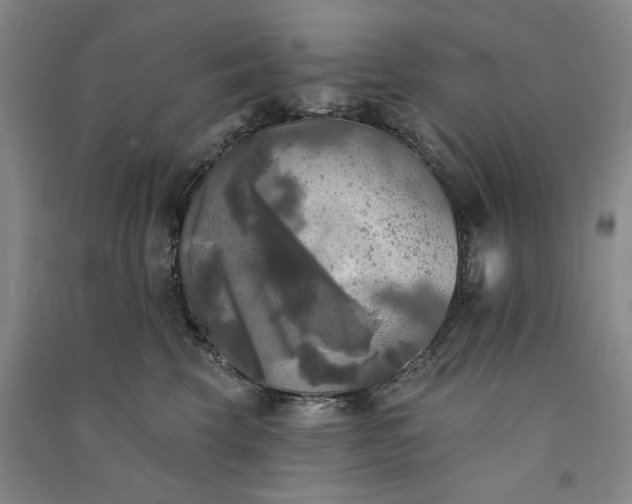 X0000091350569200708171434