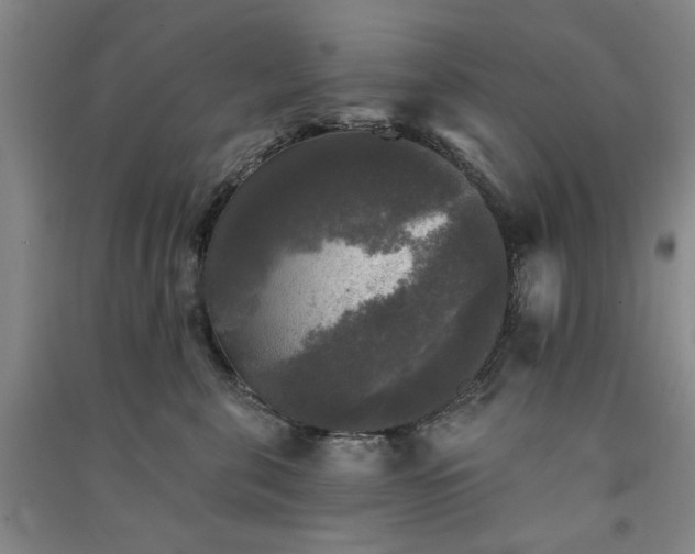 X0000091350571200708171434
