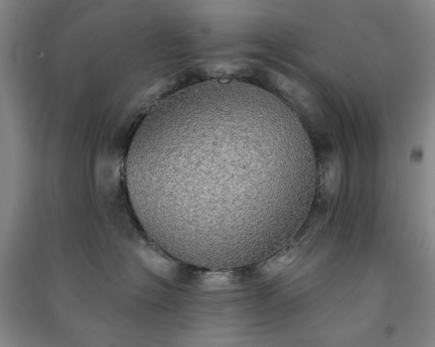 X0000091350574200708171434