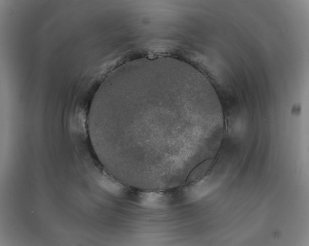 X0000091350575200708171434